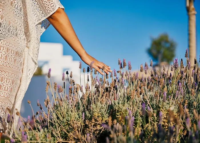 Kalergis Lejlighedshotel Naxos City