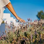 Kalergis Aparthotel Naxos City