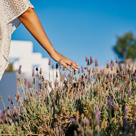 Kalergis Апарт-отель Naxos City